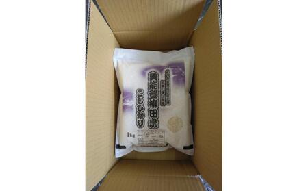 【復興支援】【令和7年度産】奥能登柳田米こしひかり ちょっといい(1kg×3)合計3kg