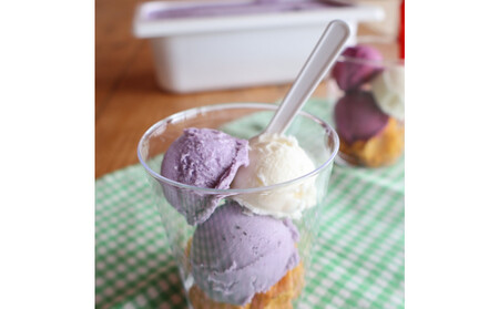 【復興支援】notono アイスミルク・ブルーベリー2リットル