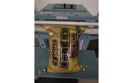 【復興支援】【令和7年産】奥能登柳田米B5(定期便)3kg×5 合計15kg