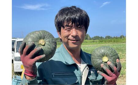 旬まるかじり! 石川県産 かぼちゃ 300ｇ x 6袋