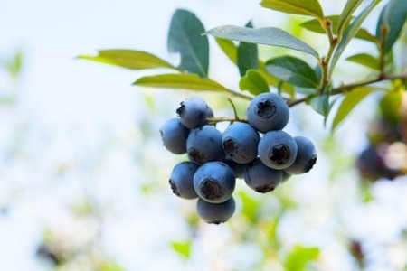 【復興支援】notono 里山ジャムセット