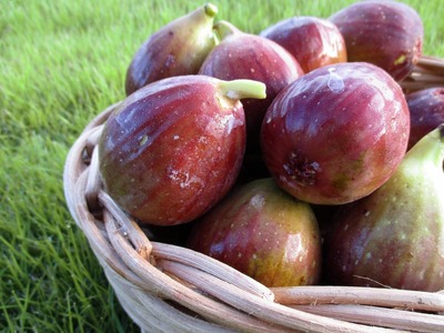 【復興支援】notono 里山ジャムセット