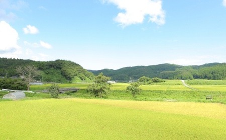 【復興支援】【12回定期便】お米2kgと5kgが交互に1年間届く！こりゃまいじゃ精米(奥能登柳田地区限定コシヒカリ)