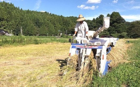 【復興支援】【12回定期便】お米2kgと5kgが交互に1年間届く！こりゃまいじゃ精米(奥能登柳田地区限定コシヒカリ)