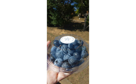 【復興支援】【先行予約】生・能登ブルーベリー100ｇパック×5つ