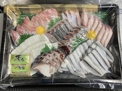 【2月お届け】【冷凍便】能登のお刺身盛り合わせセット（4人前）【復興支援】