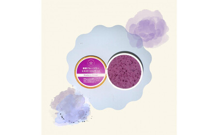 【復興支援】フローズンブルーベリー＆ビネガージェラートセット