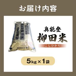 【復興支援】【令和7年度産】奥能登柳田米こしひかり5kg