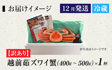 【先行予約】[到着日指定可]【訳あり】蟹好きが唸る老舗カニ料理店の越前茹ズワイ蟹　ミニ(400～500g) ＜12月発送分(12/20到着迄)＞  [D-085035]