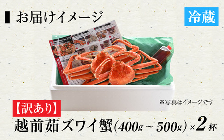 [到着日指定可]【訳あり】蟹好きが唸る老舗カニ料理店の越前茹ズワイ蟹　ミニ(400～500g) 2杯【11月中旬より順次発送】 [G-085034]