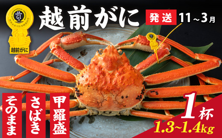 美味しさ直送！【成前特選】 越前がに（1.3kg～1.4kg）×１杯【11月～3