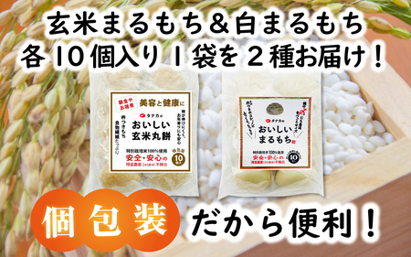 【12月26日受付分まで年内配送】特別栽培米　白まるもちと玄米まるもち　合計20個 [A-020015]【年内発送 年内お届け】