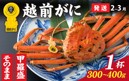 【先行予約】美味しさ直送！ 【成前特選】越前がに（300g～400g）×1杯【2月～3月発送】 [C-028041] / 福井県 福井 オス 雄 ズワイガニ ボイル 冷蔵 越前ガニ 越前がに 越前カニ ずわいがに ずわい蟹 かに カニ 蟹 指定 茹で 甲羅盛り 甲羅盛 すがた 姿 チルド 越前蟹 ずわい ズワイ 茹で蟹 茹で むき身