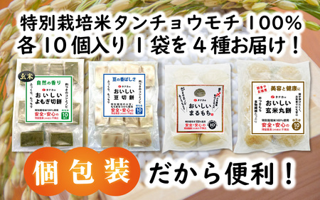特別栽培米　タナカのおもち4種セット 合計40個 [A-020016]