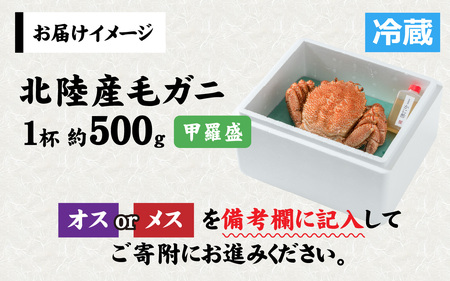 【甲羅盛】【成前特選】美味しさ直送！北陸産毛ガニ500ｇ前後×1杯（オス、メス） [B-028006_02]