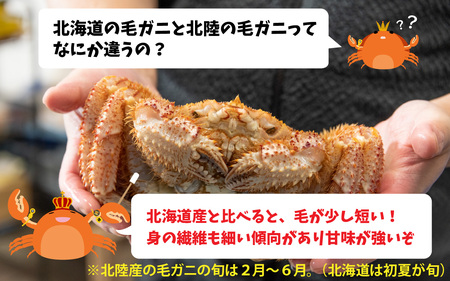 【毛ガニ】感謝価格 甲羅盛 北陸産 毛ガニ 700ｇ 前後 1杯 オス  [D-028007_02]