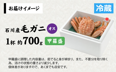【毛ガニ】感謝価格 甲羅盛 北陸産 毛ガニ 700ｇ 前後 1杯 オス  [D-028007_02]