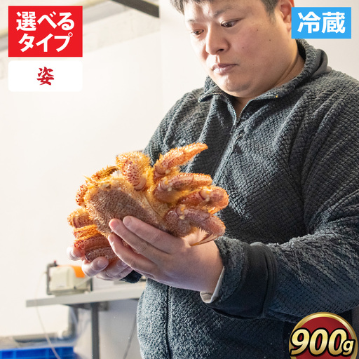 【姿】【成前特選】美味しさ直送！北陸産毛ガニ900ｇ前後×1杯（オス） [F-028009_01] / 毛ガニ