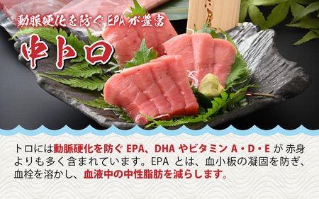 【市場直送】高鮮度急速冷凍 国産本まぐろ 中トロ 約100g（柵）×2 [A-065005]