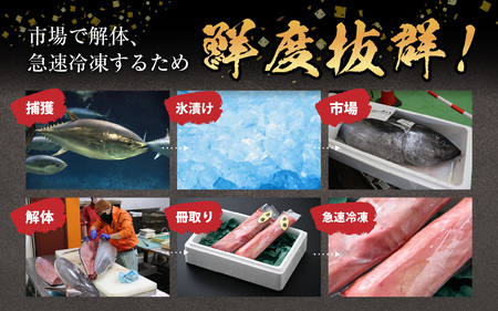 【市場直送】高鮮度急速冷凍 国産本まぐろ 中トロ 約100g（柵）×2 [A-065005]