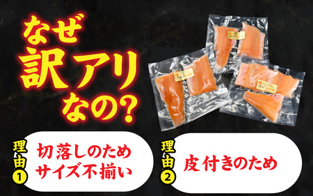 【訳あり】国産 ふくいサーモン切落し（小分けパック）約350ｇ[A-065059] / サーモン
