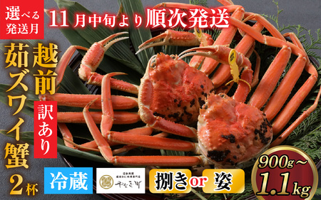 [捌き済選択可][到着日指定可]【訳あり】蟹好きが唸る老舗カニ料理店の越前茹ズワイ蟹 大サイズ(900g～1.1ｋg)2杯【11月中旬より順次発送】 [J-085030]