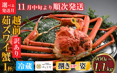 [捌き済選択可][到着日指定可]【訳あり】蟹好きが唸る老舗カニ料理店の越前茹ズワイ蟹 大サイズ(900g～1.1ｋg)1杯【11月中旬より順次発送】 [L-085031] 9,250円