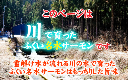 ふくい名水サーモン（小分けパック）約350ｇ[A-065057] / サーモン