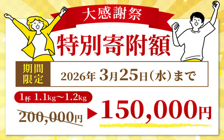 感謝価格 選べる 越前かに（1.1kg～1.2kg）×１杯【11月～3月発送】[O-028050] ｶﾆｶﾆｶﾆｶﾆ