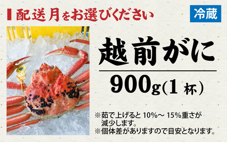 【先行予約】まっ田の越前がに 900g×1杯【11月～3月配送】[J-007007] / 越前がに