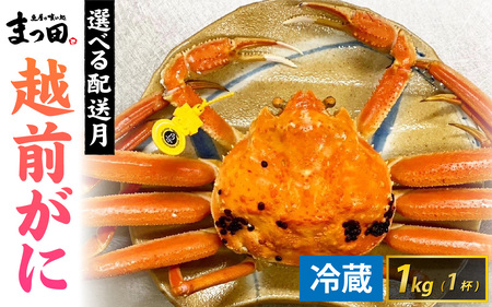 【先行予約】まっ田の越前がに 1kg×1杯【11月～3月配送】[K-007008] / 福井県 福井 オス 雄 ズワイガニ ボイル 冷蔵 越前ガニ 越前がに 越前カニ ずわいがに ずわい蟹 かに カニ 蟹 指定 茹で すがた 姿 
