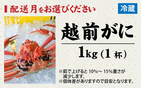 【先行予約】まっ田の越前がに 1kg×1杯【11月～3月配送】[K-007008] / 福井県 福井 オス 雄 ズワイガニ ボイル 冷蔵 越前ガニ 越前がに 越前カニ ずわいがに ずわい蟹 かに カニ 蟹 指定 茹で すがた 姿 