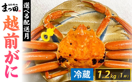 【先行予約】まっ田の越前がに 1.2kg×1杯【11月～3月配送】[L-007010] / 越前がに