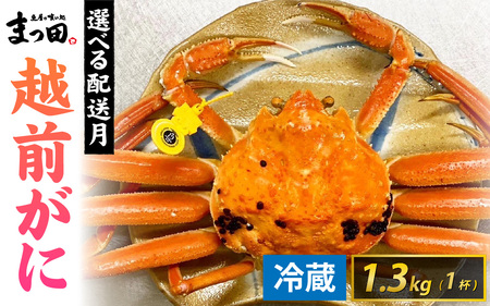 【先行予約】まっ田の越前がに 1.3kg×1杯【11月～3月配送】[M-007011] / 福井県 福井 オス 雄 ズワイガニ ボイル 冷蔵 越前ガニ 越前がに 越前カニ ずわいがに ずわい蟹 かに カニ 蟹 指定 茹で すがた 姿