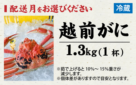 【先行予約】まっ田の越前がに 1.3kg×1杯【11月～3月配送】[M-007011] / 福井県 福井 オス 雄 ズワイガニ ボイル 冷蔵 越前ガニ 越前がに 越前カニ ずわいがに ずわい蟹 かに カニ 蟹 指定 茹で すがた 姿