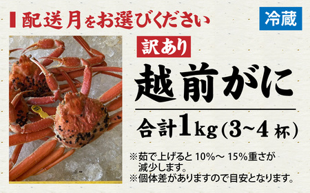 【先行予約】【訳あり】まっ田の越前がに 約1kg 3～4杯詰め合わせセット【11月～3月配送】[H-007019] / 越前がに