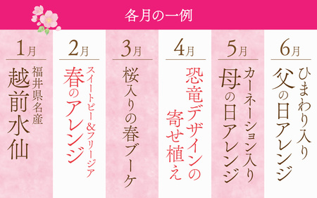 季節を楽しもう！毎回違うお花が届く「お花の定期便」 [M-159003] 