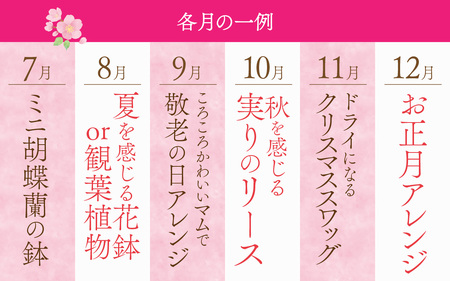 季節を楽しもう！毎回違うお花が届く「お花の定期便」 [M-159003] 