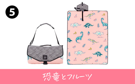 ムードラグ 「恐竜とフルーツ」  [C-152001_05] / アウトドア