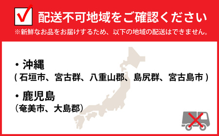 先行予約【市場直送！】【訳あり】無選別　茹で越前がに　1kg（2～3杯）【11月中旬より順次発送、年末年始対応不可】[J-065035] / かに 蟹 ずわい ズワイ 茹でがに