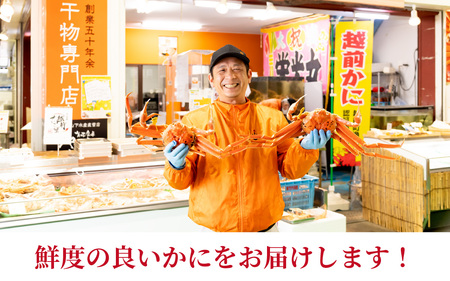 先行予約【市場直送！】【訳あり】無選別　茹で越前がに　1kg（2～3杯）【11月中旬より順次発送、年末年始対応不可】[J-065035] / かに 蟹 ずわい ズワイ 茹でがに