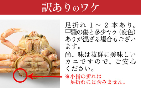 先行予約【市場直送！】【訳あり】無選別　茹で越前がに　1kg（2～3杯）【11月中旬より順次発送、年末年始対応不可】[J-065035] / かに 蟹 ずわい ズワイ 茹でがに