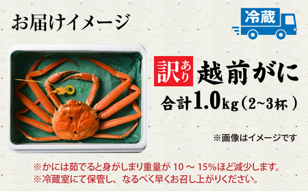 先行予約【市場直送！】【訳あり】無選別　茹で越前がに　1kg（2～3杯）【11月中旬より順次発送、年末年始対応不可】[J-065035] / かに 蟹 ずわい ズワイ 茹でがに