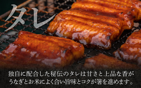 きざみ鰻５パックセット [A-149001]