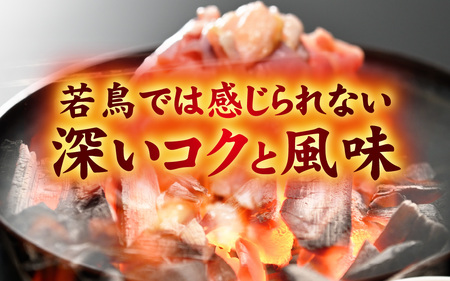 親鶏の旨みたっぷり　やきとりバーグ【 鶏肉 親鶏 ひね鶏 塩 醤油 ガリペパ ご当地 グルメ B級 名物 焼き鳥 炭火焼 冷凍】 [A-153001]