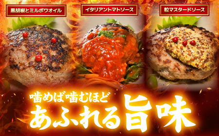 親鶏の旨みたっぷり　やきとりバーグ【 鶏肉 親鶏 ひね鶏 塩 醤油 ガリペパ ご当地 グルメ B級 名物 焼き鳥 炭火焼 冷凍】 [A-153001]