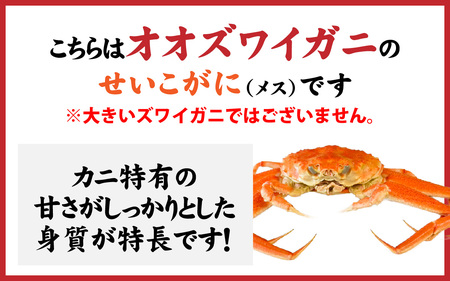 【訳あり】釜茹で　蟹好き集まれ！せいこがに（オオズワイガニ・メス）【甲羅盛60g前後 2個セット】 [A-096017] 