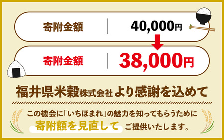 【令和7年産】福井県産いちほまれ【5kg 2袋】 [C-014003] / 精米 白米 ブランド米 