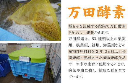 令和7年産 万田酵素で育てた健康米 福井市産こしひかり5kg [A-150002] / 新米 精米 米 お米 コメ 送料無料 コシヒカリ 酵素 植物発酵食品 長期発酵 熟成