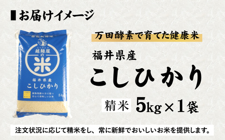 令和7年産 万田酵素で育てた健康米 福井市産こしひかり5kg [A-150002] / 新米 精米 米 お米 コメ 送料無料 コシヒカリ 酵素 植物発酵食品 長期発酵 熟成